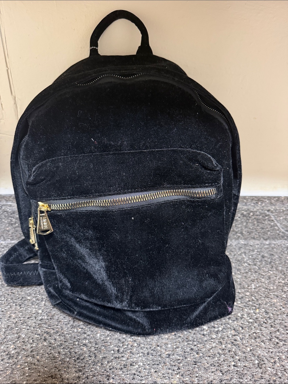 Aimee kestenberg velvet backpack NWOT
